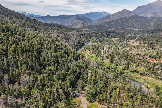 2940 Dutch Creek Rd, Junction City, CA 96048 - photo 45