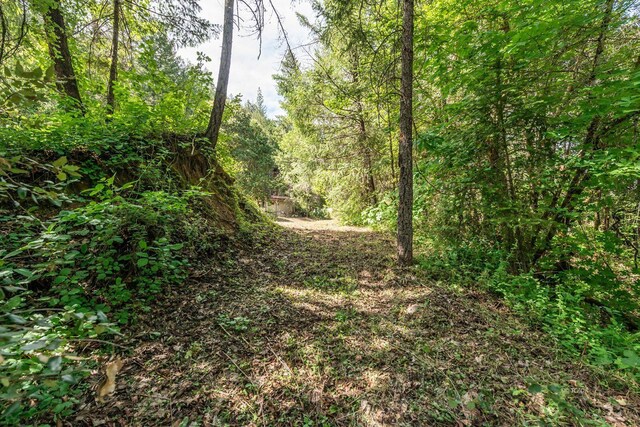 2940 Dutch Creek Rd, Junction City, CA 96048 - photo 46