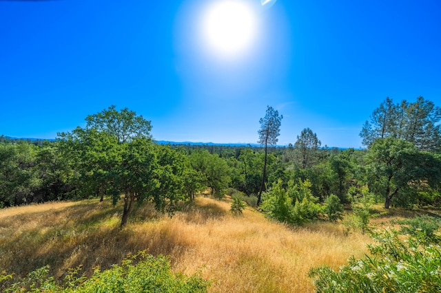 1163 Golden Gate Trl, Redding, CA 96003 - view of tree filled area