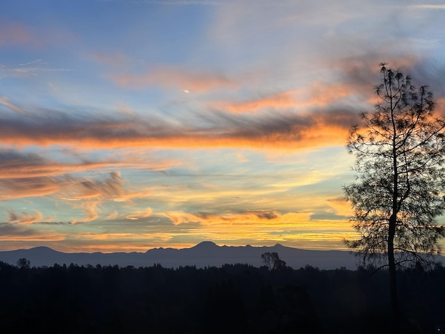 1163 Golden Gate Trl, Redding, CA 96003 - view of mountain backdrop featuring a forest