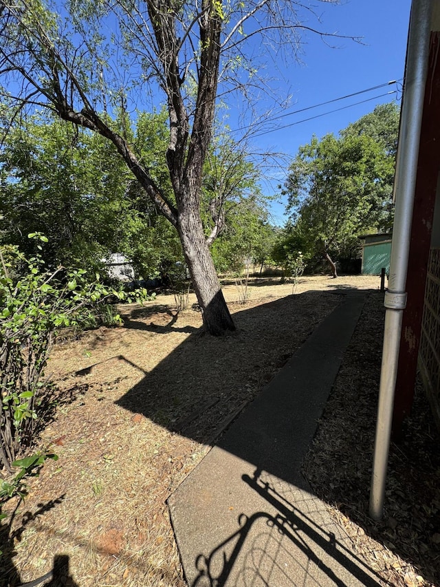 1717 Deer Creek Rd, Shasta Lake, CA 96019 - view of yard