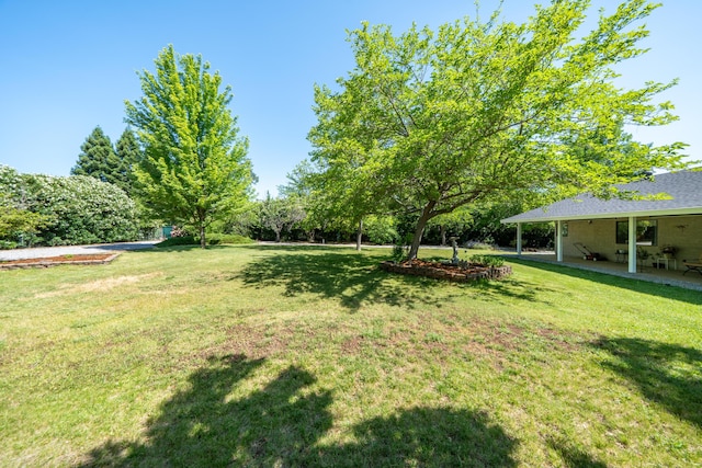 19991 Paso Robles Ave, Redding, CA 96003 - view of grassy yard with a patio area