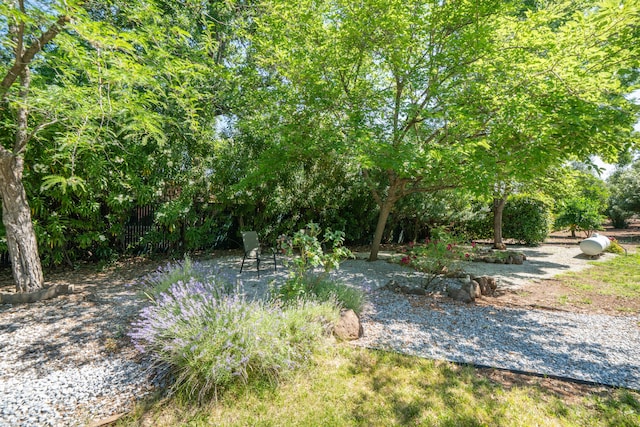 19991 Paso Robles Ave, Redding, CA 96003 - view of yard