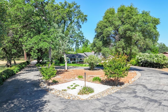 19991 Paso Robles Ave, Redding, CA 96003 - view of community featuring asphalt driveway