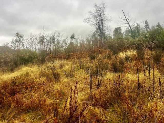 California St, Redding, CA 96001