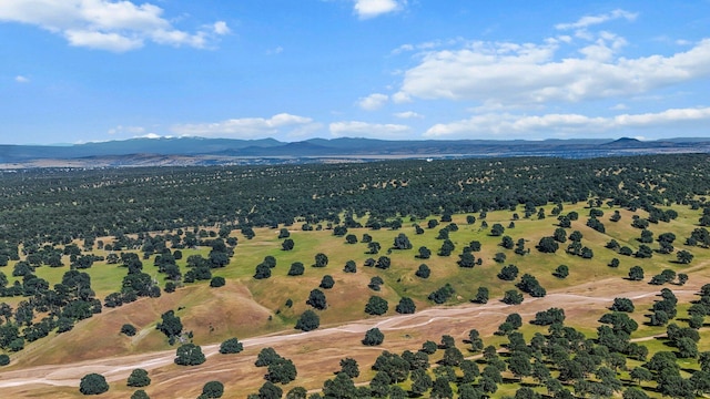0000 Lake California Drvie, Cottonwood, CA 96022 - photo 20