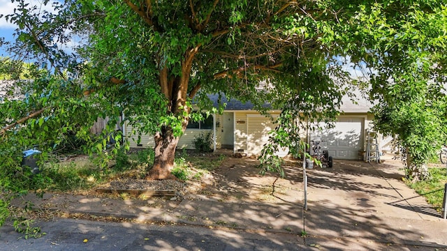 3262 Camellia St, Anderson, CA 96007 - view of yard featuring driveway