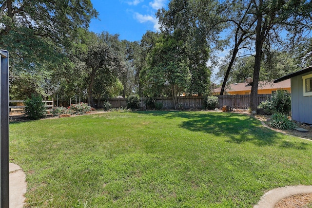 4223 Alta Mesa Dr, Redding, CA 96002 - view of yard