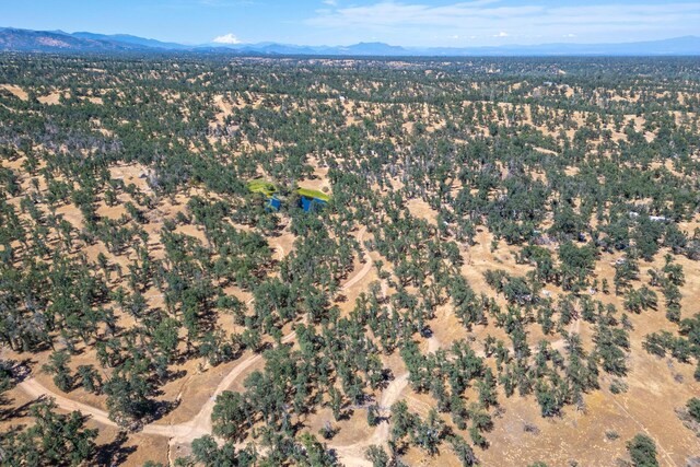 4645 Two Feathers Rd, Cottonwood, CA 96022 - photo 14