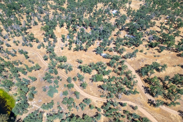4645 Two Feathers Rd, Cottonwood, CA 96022 - photo 17