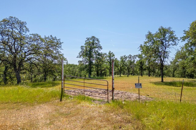 Woodview Dr, Palo Cedro, CA 96073 - photo 5