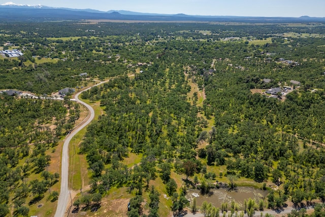 Woodview Dr, Palo Cedro, CA 96073 - photo 6