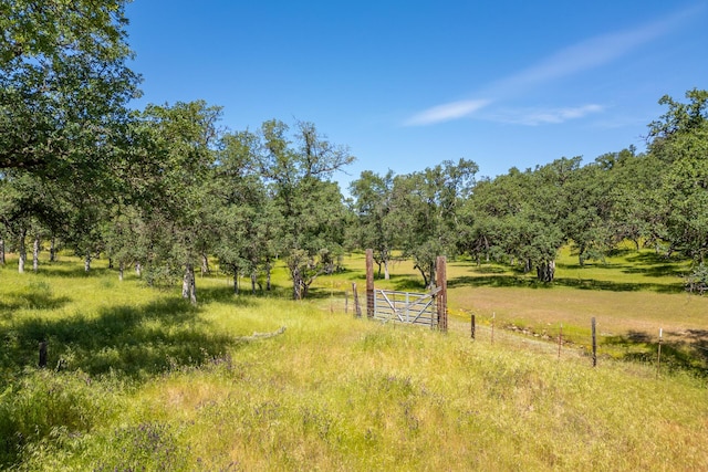 Woodview Dr, Palo Cedro, CA 96073 - photo 14