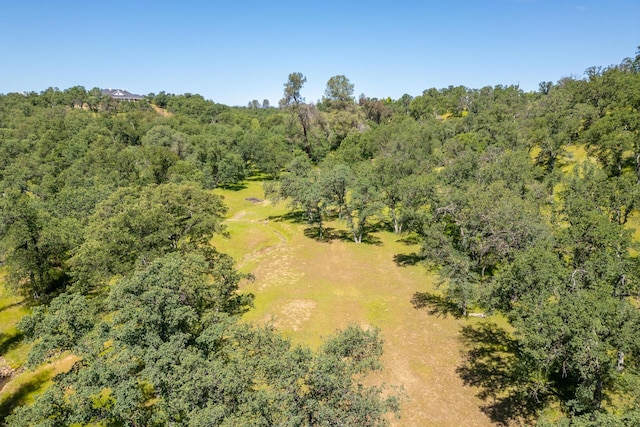 Woodview Dr, Palo Cedro, CA 96073 - photo 15