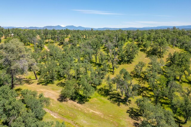 Woodview Dr, Palo Cedro, CA 96073 - photo 16