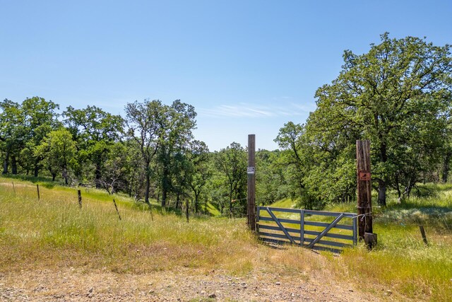 Woodview Dr, Palo Cedro, CA 96073 - photo 19