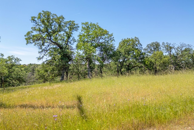 Woodview Dr, Palo Cedro, CA 96073 - photo 22