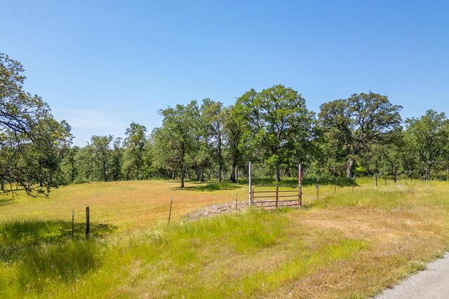 Woodview Dr, Palo Cedro, CA 96073 - photo 25
