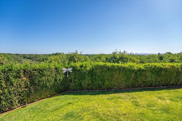 21350 Wilcox Rd, Red Bluff, CA 96080 - view of green lawn