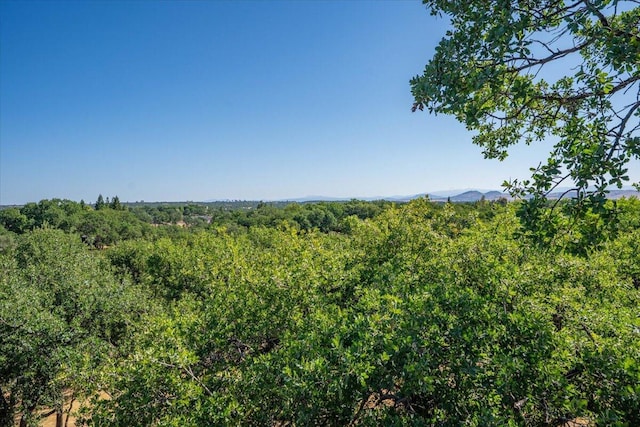 21350 Wilcox Rd, Red Bluff, CA 96080 - view of tree filled area