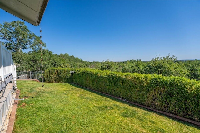 21350 Wilcox Rd, Red Bluff, CA 96080 - view of yard