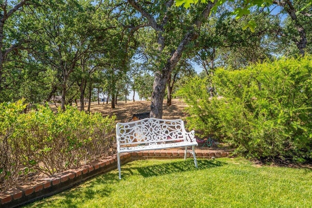 21350 Wilcox Rd, Red Bluff, CA 96080 - view of green lawn