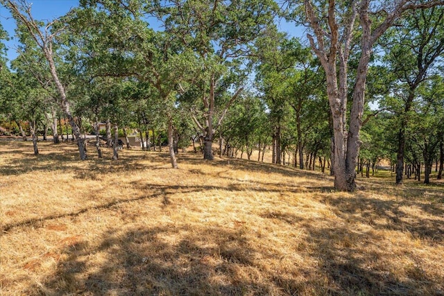21350 Wilcox Rd, Red Bluff, CA 96080 - view of yard
