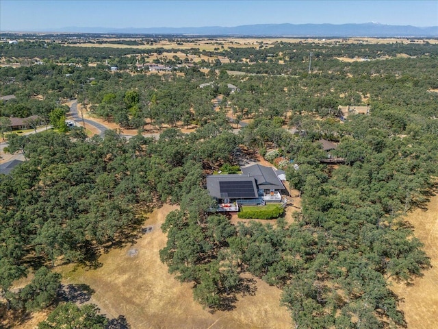 21350 Wilcox Rd, Red Bluff, CA 96080 - drone / aerial view