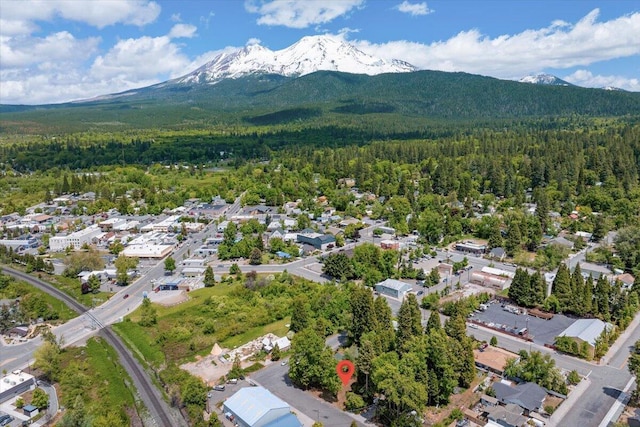 0 Berry St, Mount Shasta, CA 96067 - photo 2