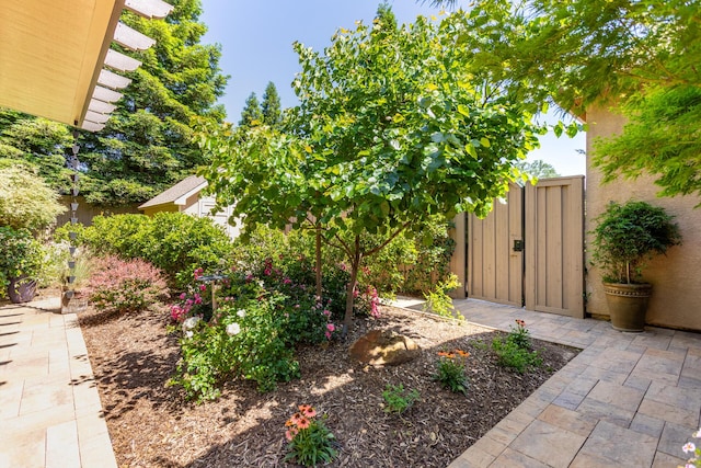 2830 Montana Sky Dr, Redding, CA 96002 - view of yard with a gate