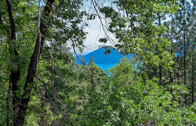 19370 Mountain Maple Rd, Lakehead, CA 96051 - exterior view of mountains and a forest