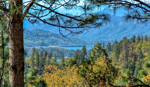 19370 Mountain Maple Rd, Lakehead, CA 96051 - water view featuring mountains and a heavily wooded area
