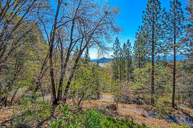 19370 Mountain Maple Rd, Lakehead, CA 96051 - mountain view
