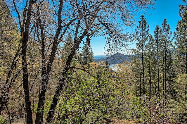 19370 Mountain Maple Rd, Lakehead, CA 96051 - mountain view with a heavily wooded area