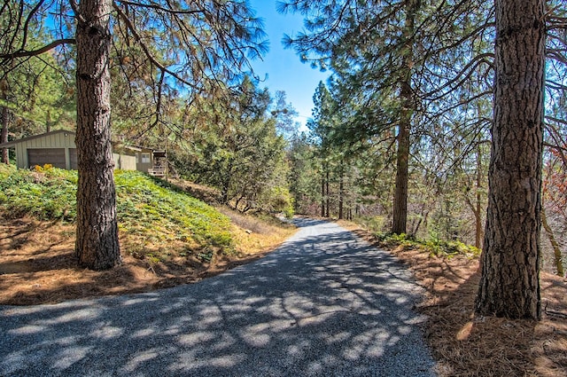 19370 Mountain Maple Rd, Lakehead, CA 96051 - view of dirt / gravel road with a view of trees