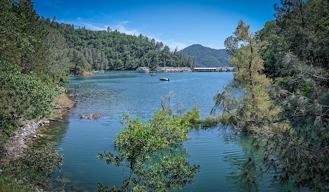 19370 Mountain Maple Rd, Lakehead, CA 96051 - water view featuring mountains and a forest