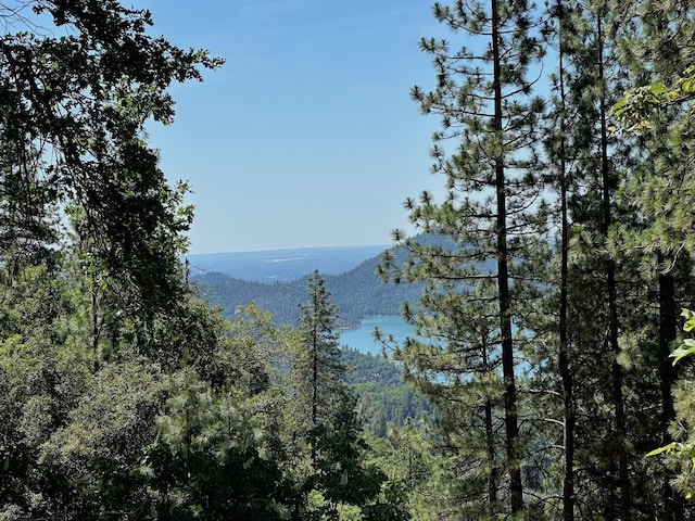 19370 Mountain Maple Rd, Lakehead, CA 96051 - mountain view with a forest