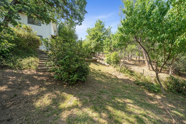 2190 Skyline Dr, Redding, CA 96001 - view of yard