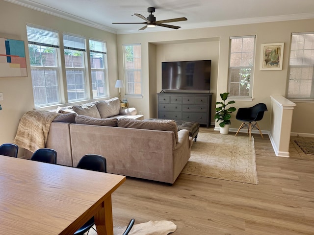2135 Vienna Way, Redding, CA 96003 - living room featuring ornamental molding, light wood-style flooring, a ceiling fan, and baseboards