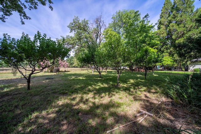 2940 Felstet Ln, Redding, CA 96001 - view of green lawn