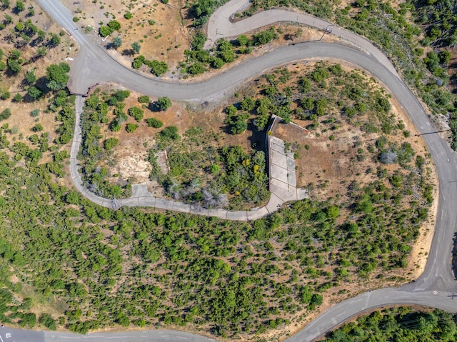 10241 Winthrop Ct, Shasta, CA 96087 - photo 3