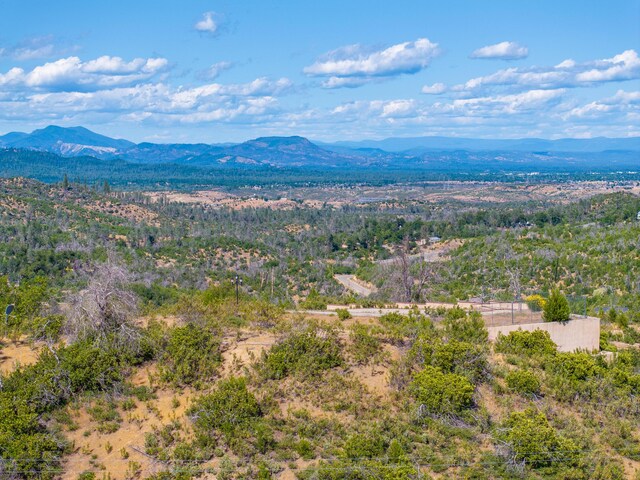 10241 Winthrop Ct, Shasta, CA 96087 - photo 12