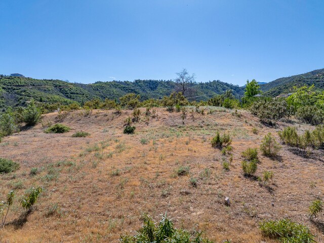 10241 Winthrop Ct, Shasta, CA 96087 - photo 21