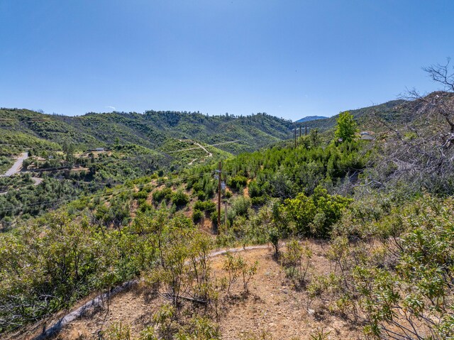 10241 Winthrop Ct, Shasta, CA 96087 - photo 22
