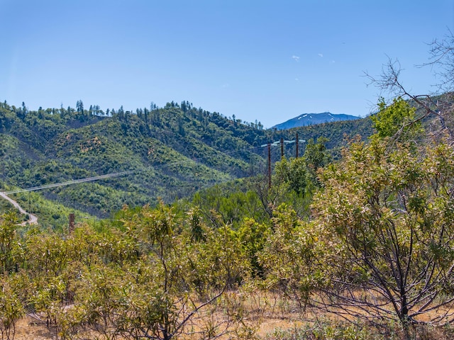 10241 Winthrop Ct, Shasta, CA 96087 - photo 23