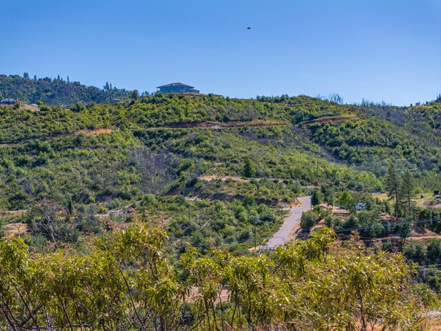 10241 Winthrop Ct, Shasta, CA 96087 - photo 24