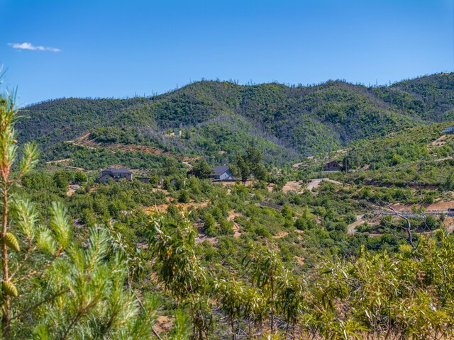 10241 Winthrop Ct, Shasta, CA 96087 - photo 25