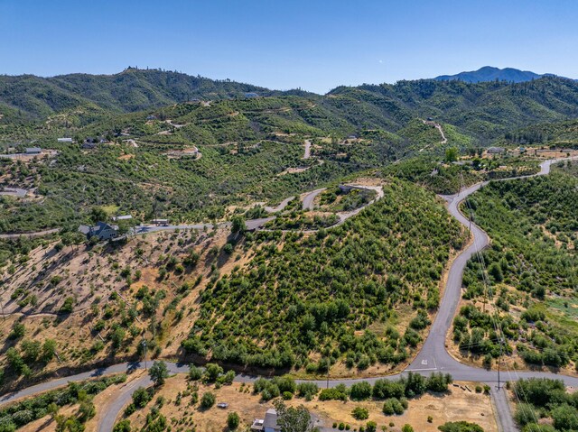 10241 Winthrop Ct, Shasta, CA 96087 - photo 29