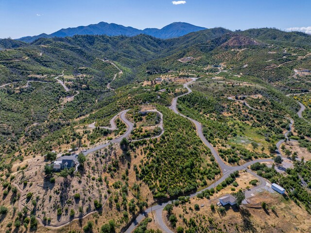 10241 Winthrop Ct, Shasta, CA 96087 - photo 30