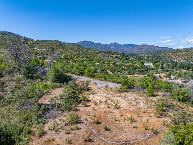 10241 Winthrop Ct, Shasta, CA 96087 - photo 32